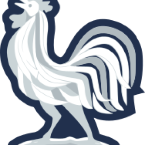 Official France FFF Logo for 2026 France National Team Training Suit